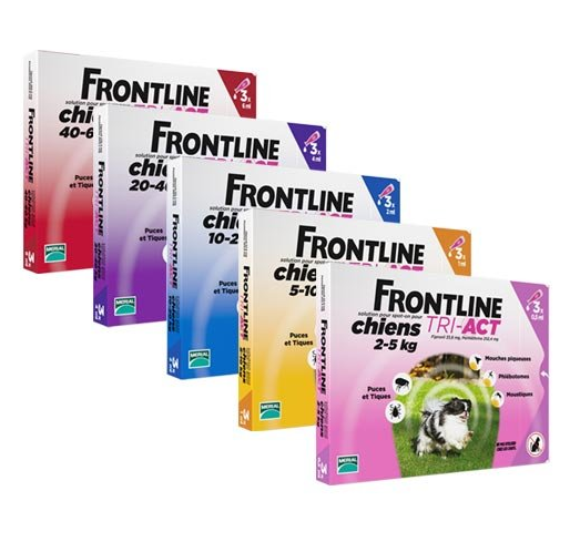 FRONTLINE